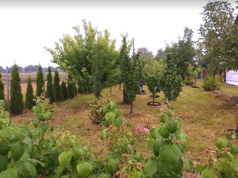 будинок за адресою Шосова