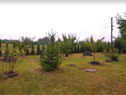 будинок за адресою Шосова