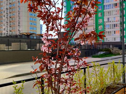 квартира за адресою Перлинна вул., 11