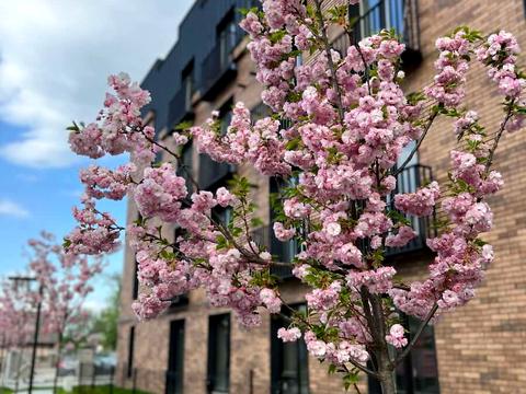 квартира за адресою Юліана Пелеша вул., 5, к3