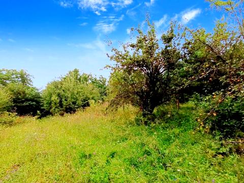 ділянка за адресою Шкільна