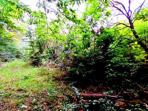 ділянка за адресою Шкільна