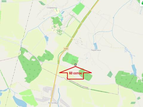 ділянка за адресою Шкільна