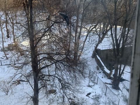 квартира за адресою Ломаківська вул. (Мічуріна), 2