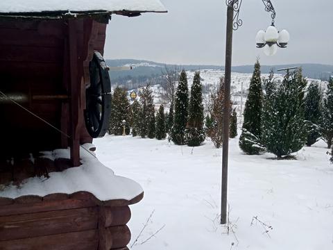 дом по адресу Тараса Шевченка ул.