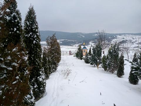 дом по адресу Тараса Шевченка ул.