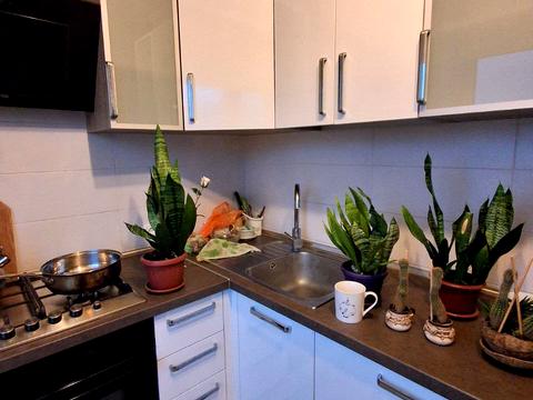 квартира за адресою Салтівське шосе, 250а