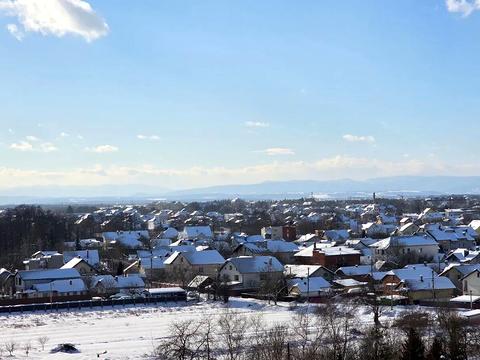 квартира за адресою Отця Івана Блавацького вул., (1 черга (будинок 4))