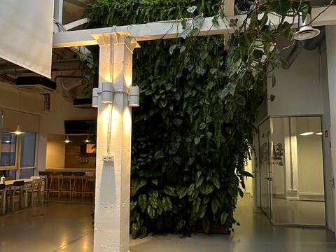 комерційна за адресою Старокозацька вул. (Комсомольська), 37