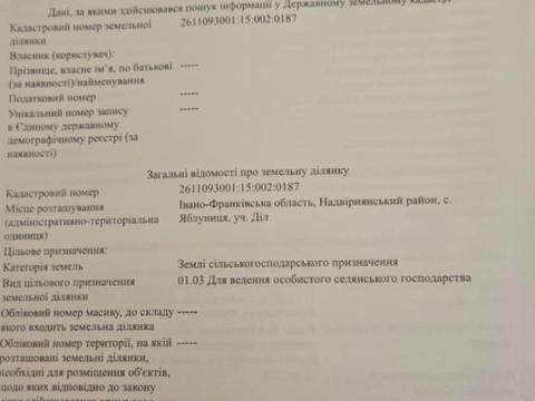 ділянка за адресою с. Яблуниця, уч. Діл