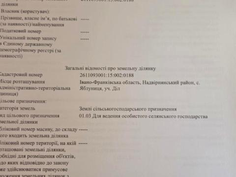 ділянка за адресою с. Яблуниця, уч. Діл