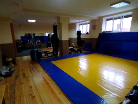 комерційна за адресою Опанаса Сластіона вул., 2