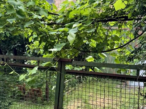 будинок за адресою Київська, 12