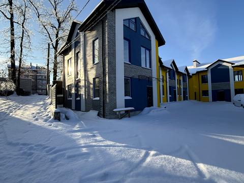 дом по адресу Выговского ул. (Суворова)