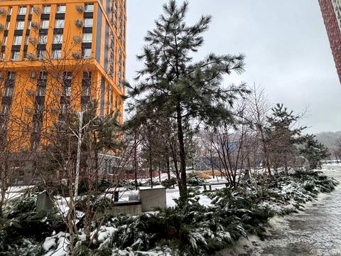 квартира за адресою Столичне шосе, (Будинок 10)