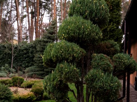 будинок за адресою 9-та Лінія вул.