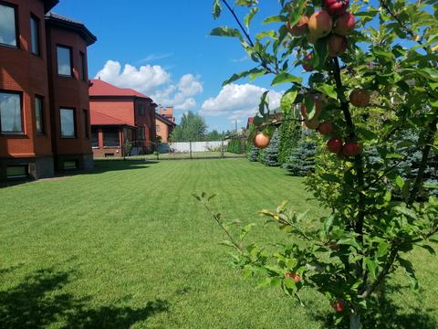 дом по адресу Пров. Лозовий