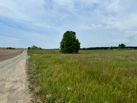 участок по адресу Наталія Ужвій, 56