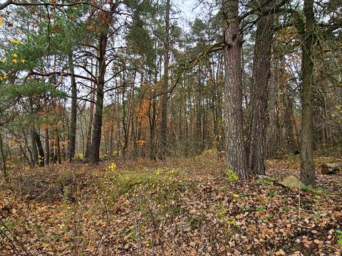 будинок за адресою Миру, 2