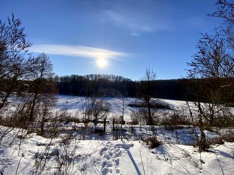 дом по адресу Вишнева