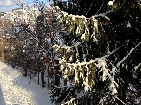 квартира за адресою Куликівська вул., 39б