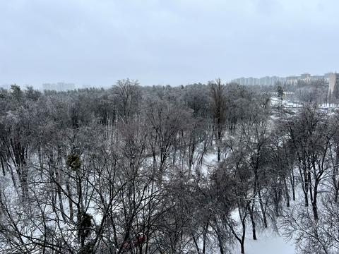 квартира за адресою Полковий пров., 55