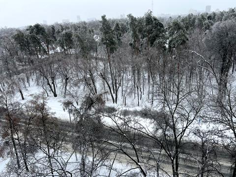 квартира за адресою Полковий пров., 55