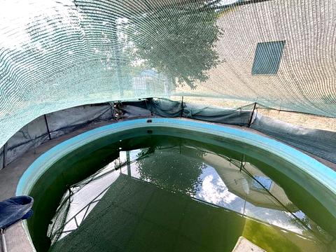 будинок за адресою с. Хоминка, Перша, 5