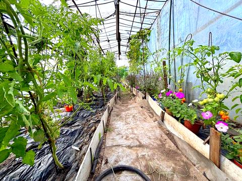 будинок за адресою с. Хоминка, Перша, 5