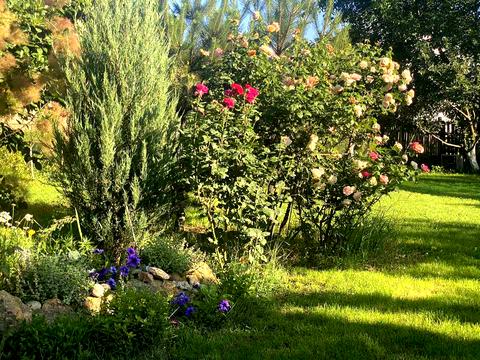 будинок за адресою Миру, 1