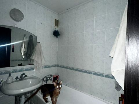 квартира за адресою Данили Нечая вул., 31