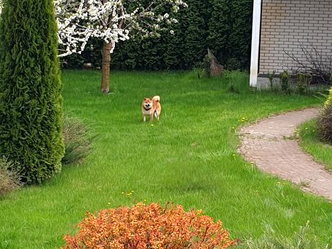 будинок за адресою Мазепи