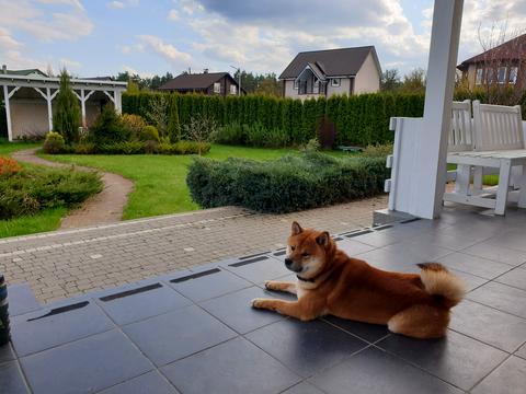 будинок за адресою Мазепи