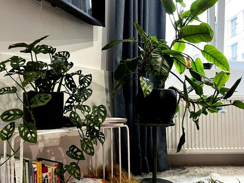 квартира за адресою Миру вул., 2-В