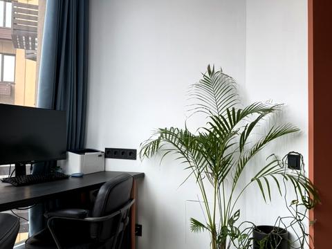 квартира за адресою Миру вул., 2-В