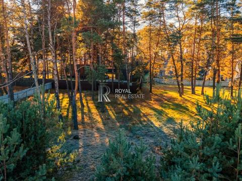 ділянка за адресою с. Малютянка, Котляревського