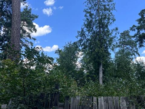 ділянка за адресою Мрії вул. (Пушкінська)