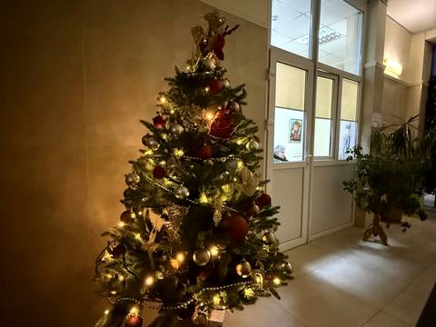 квартира за адресою Самійла Кішки вул. (Маршала Конєва), 12