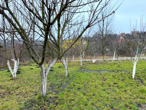 будинок за адресою Ветеранів, 3