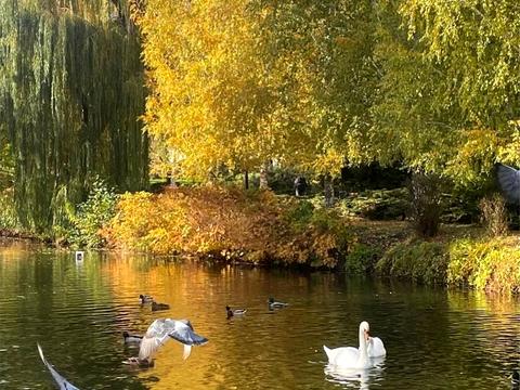 квартира за адресою Вишгородська вул., 45/14