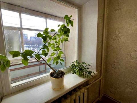 квартира по адресу Коденка пер. (2-й Чехова), 12