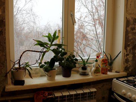 квартира за адресою Познанська вул., 7