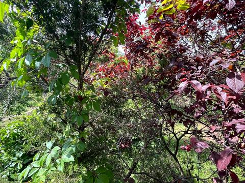 участок по адресу 