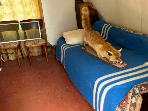 участок по адресу 