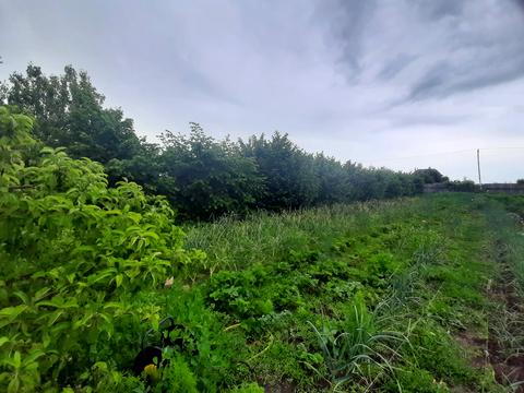 будинок за адресою с. Петродолинське, Молодіжна, 10