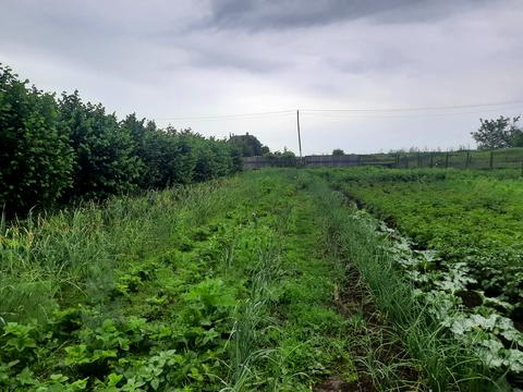 будинок за адресою с. Петродолинське, Молодіжна, 10