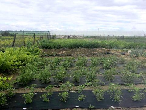 будинок за адресою Садова, 2