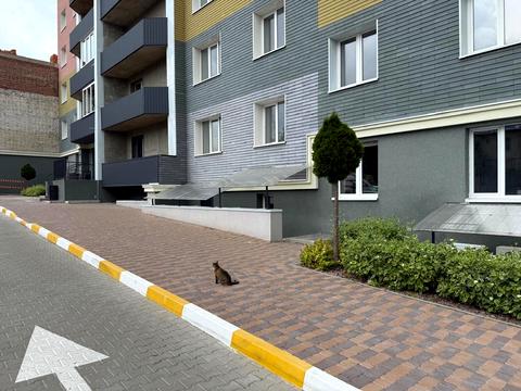 коммерческая по адресу Александра Саенко ул., 11