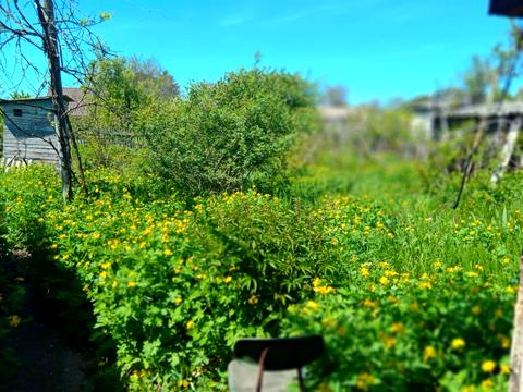 будинок за адресою Святослава Ріхтера вул. (Щорса)