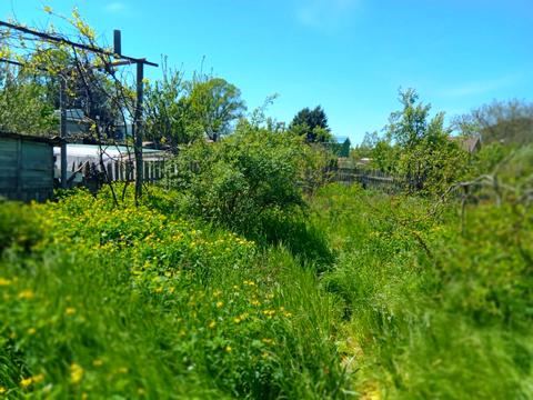 будинок за адресою Святослава Ріхтера вул. (Щорса)